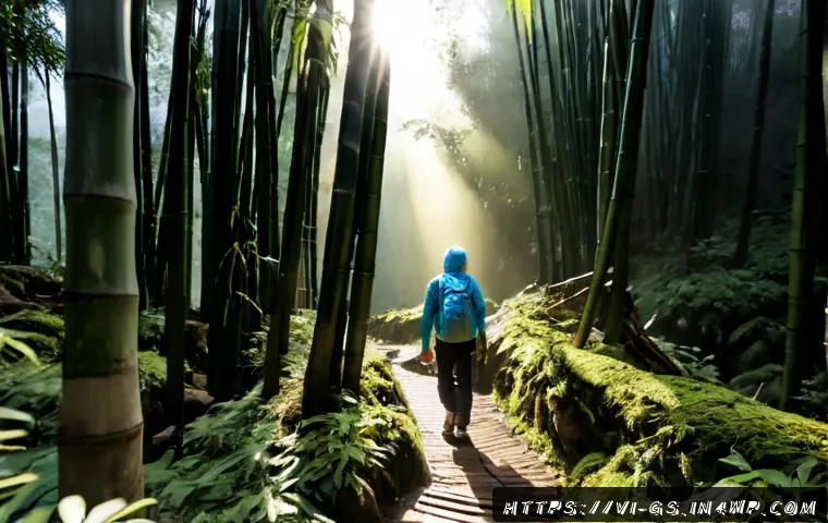 Home 17 자연과 함께하는 인적 드문 산행지 - Photorealistic dawn hiking scene in a quiet remote mountain forest in northern Vietnam, a lone adult...